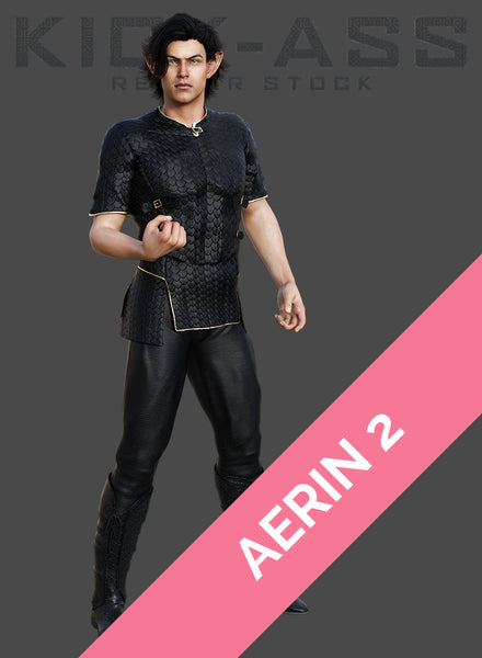 AERIN 2