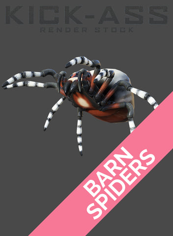 BARN SPIDERS