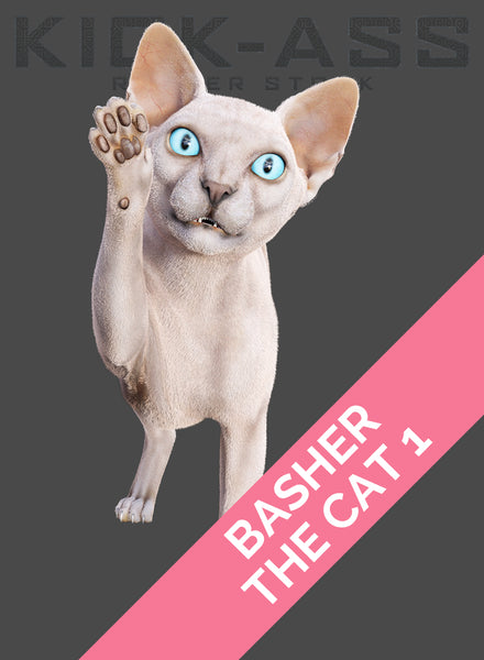 BASHER THE CAT