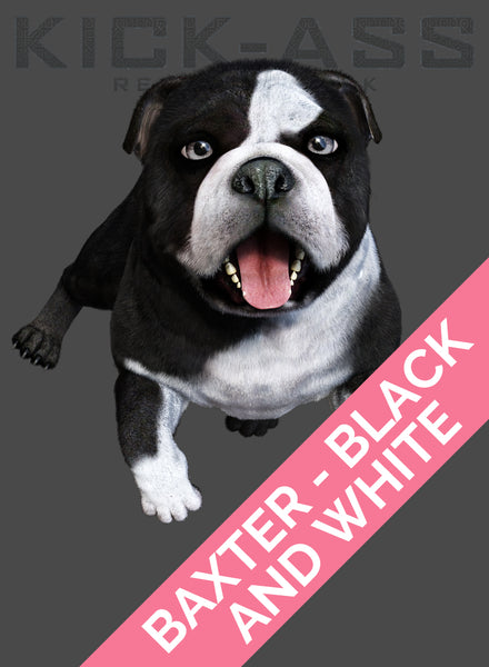 BAXTER - BLACK AND WHITE
