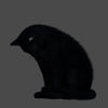 CATS - BLACK 1