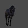HORSES - BLACK