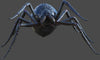 SPIDER -- BLACK
