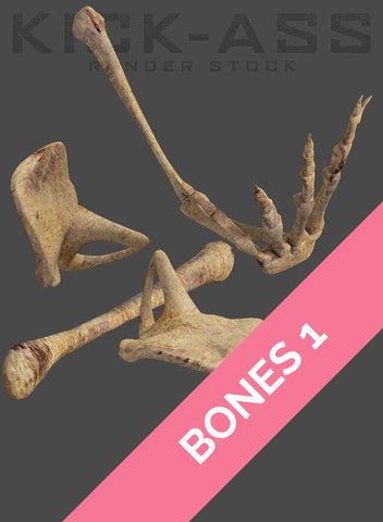 BONES 1