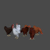 BUNCH OF CHICKENS