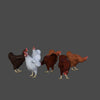 BUNCH OF CHICKENS