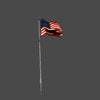 BURNED AMERICAN FLAG