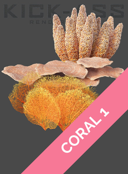 CORAL 1