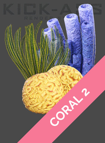 CORAL 2