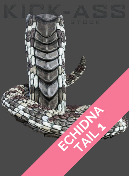 ECHIDNA TAIL 1