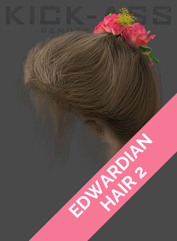 EDWARDIAN HAIR 2