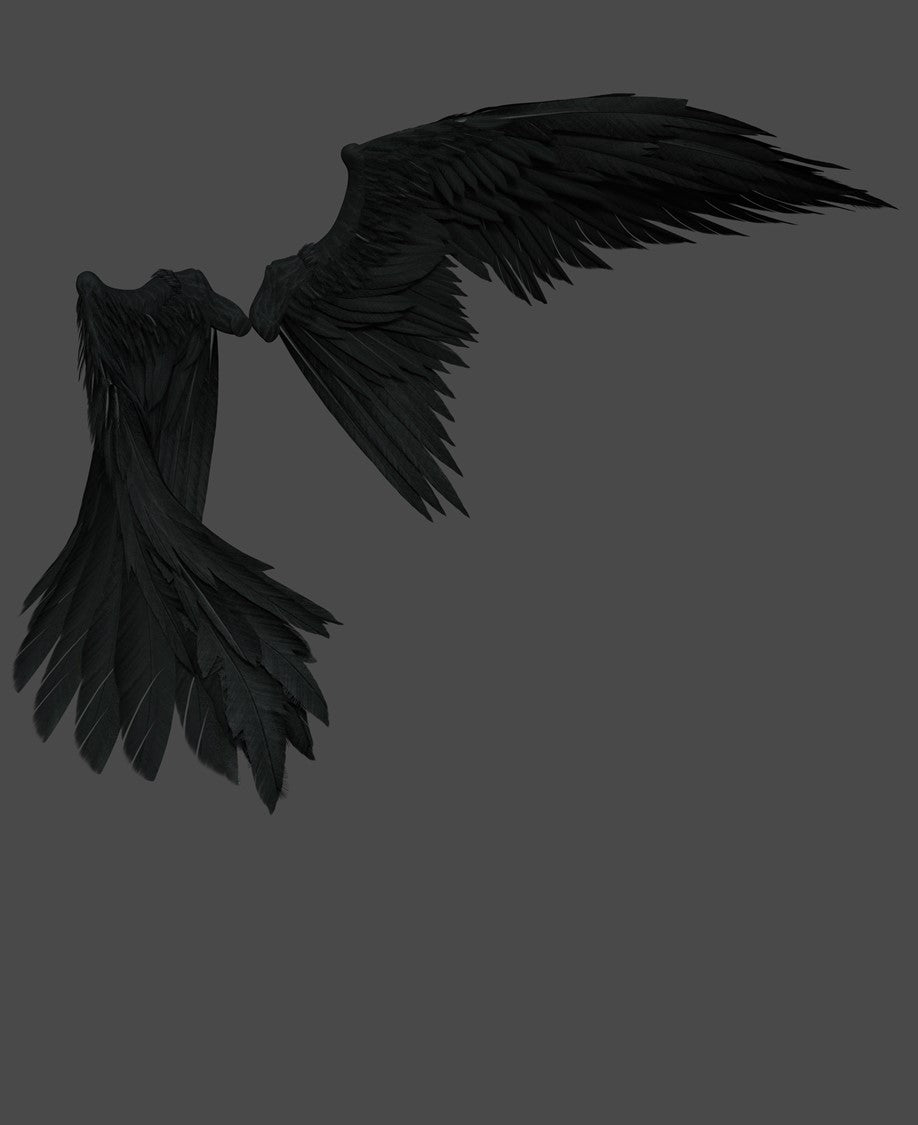 black fallen angel wings