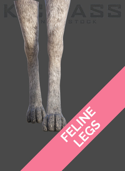 FELINE LEGS