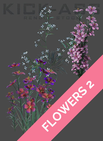 FLOWERS 2