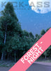 FOREST - NIGHT
