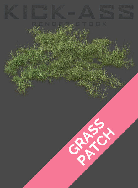 GRASS PATCH 1