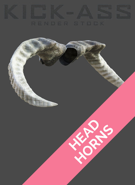 HEAD HORNS