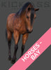 HORSES - BAY