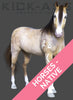 HORSES - NATIVE
