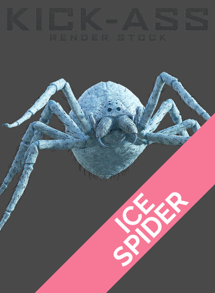 SPIDER -- ICE