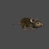 MOUSE - BROWN