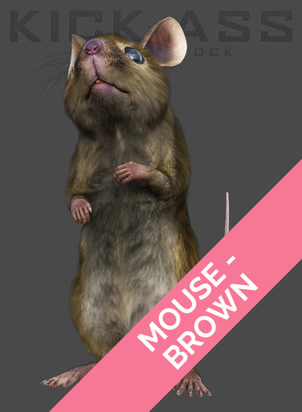 MOUSE - BROWN