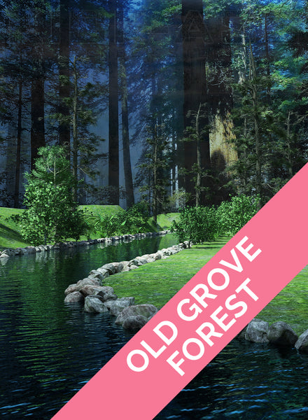 OLD GROVE FOREST