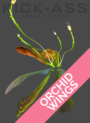 ORCHID WINGS