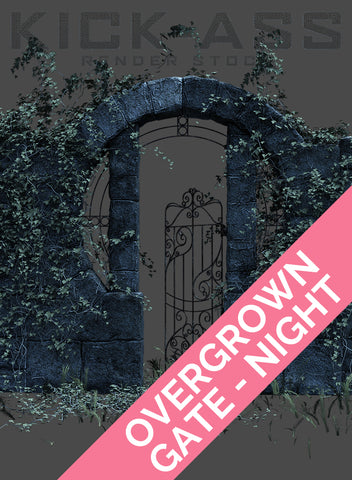 OVERGROWN GATE - NIGHT