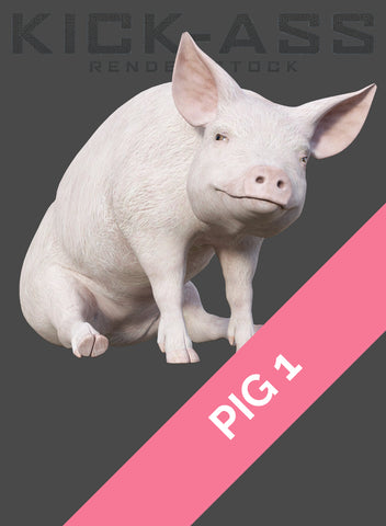 PIG 1