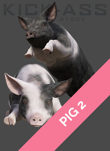 PIG 2