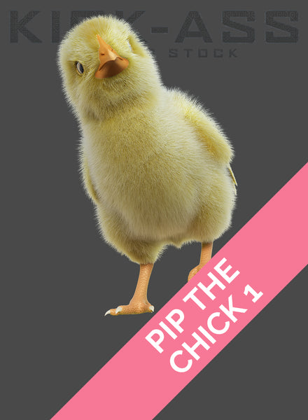 PIP THE CHICK 1