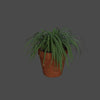 POTTED PLANTS 1