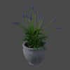 POTTED PLANTS 3