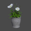 POTTED PLANTS 3