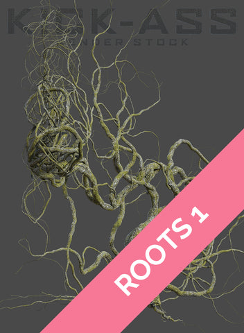 ROOTS 1