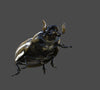 SCARABS
