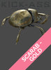 SCARAB - GOLD