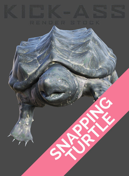 SNAPPING TURTLE