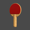 TABLE TENNIS PADDLE