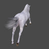 HORSES - WHITE