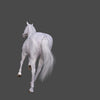 HORSES - WHITE
