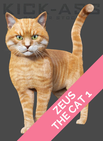 ZEUS THE CAT